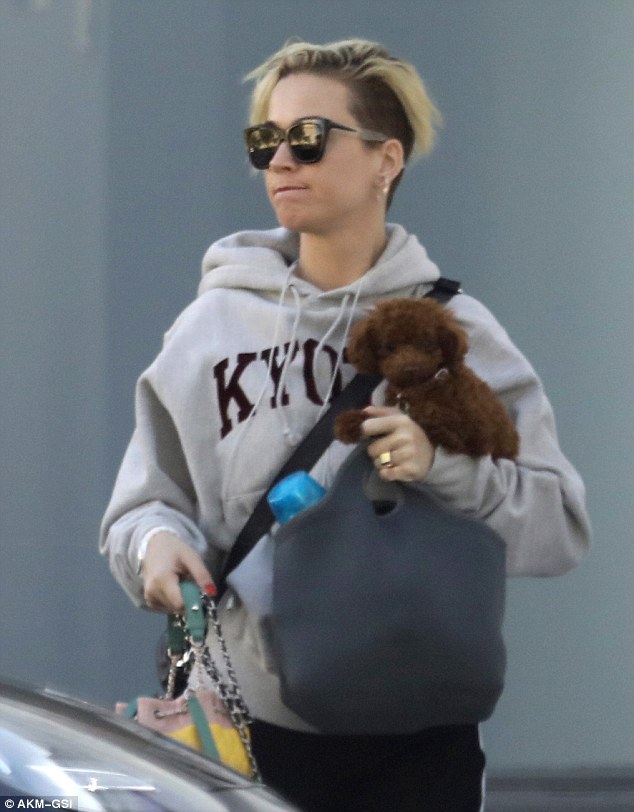 Katy Perry looks unrecognizable with new haircut and shades as she steps out with pup in LA